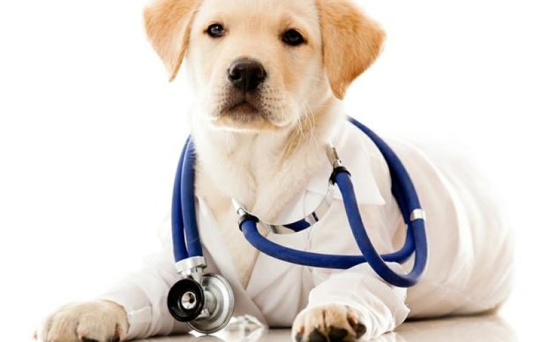 FARMACIA1